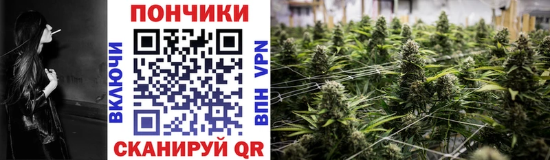 Бошки Шишки семена  закладки  Октябрьск 